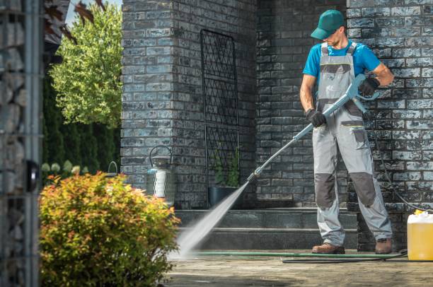 Animal Enclosure Cleaning in Westwood, CA